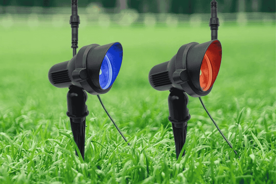Colored landscape spotlights in a lawn